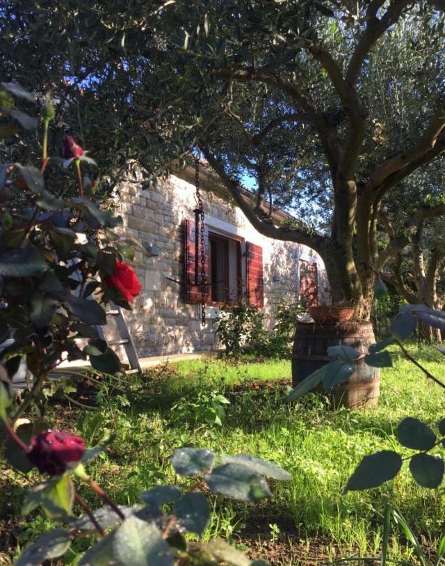 Casa Mala Villa Zadar Exteriör bild